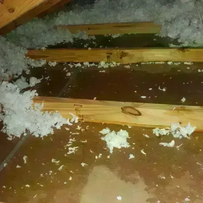 Attic Water Damage in Polk County, TN