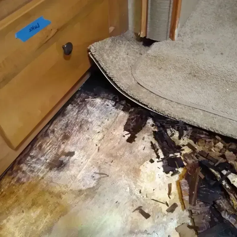 Wood Floor Water Damage in Polk County, TN